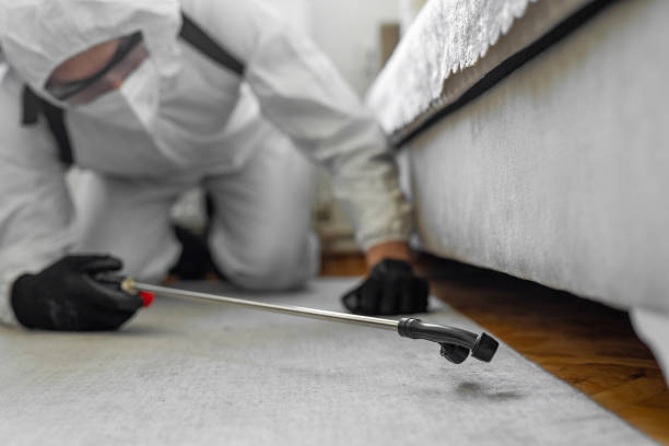 Professional Termite Control technician working in Bristol, CT