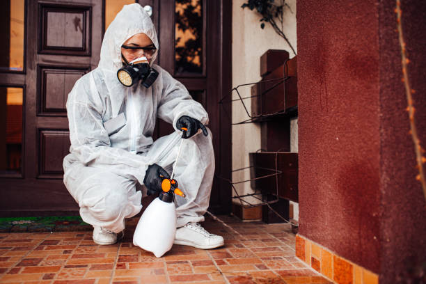 Reliable Termite Control contractor in Bristol, CT by Nex Pest Control